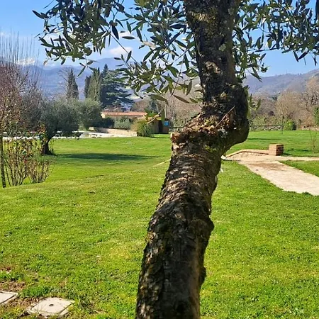 Ai Ceccetti Del Lato Barga
