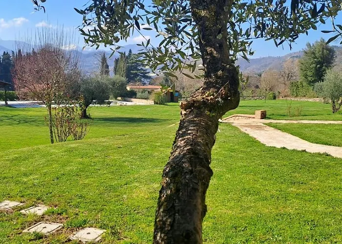 Ai Ceccetti Del Lato Barga